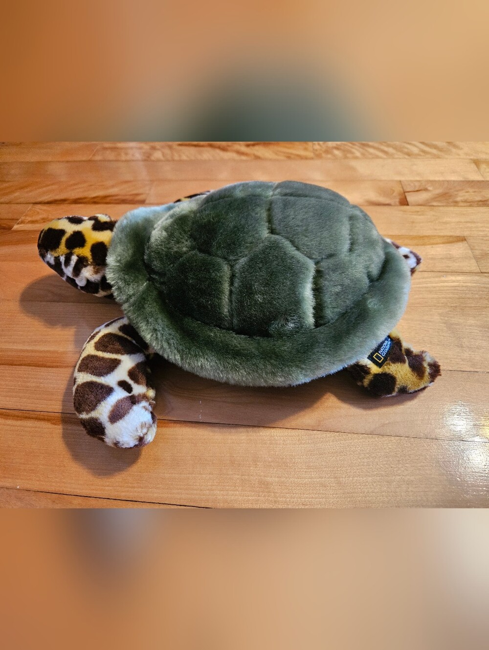 Sea Turtle Plush Large Size National Geographic